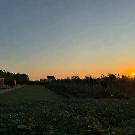 Te Vreshti - Container * Durrës