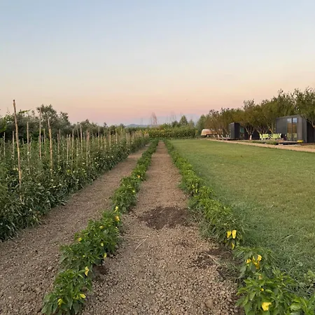 Tatil Evi Te Vreshti - Container Dıraç