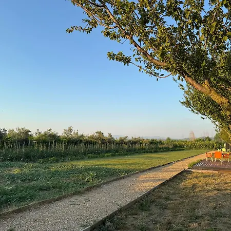 Te Vreshti - Container Tatil Evi