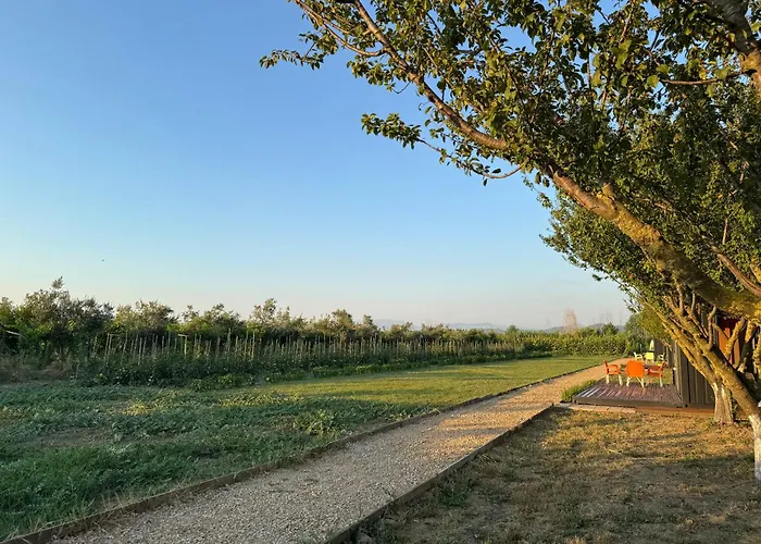 Te Vreshti - Container Casa de Férias