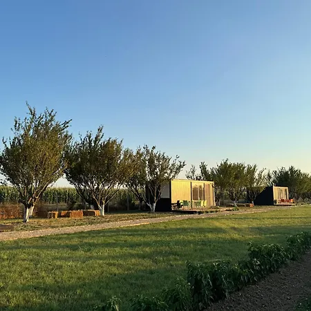 Сasa de vacaciones Te Vreshti - Container