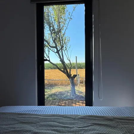 בית נופש Te Vreshti - Container