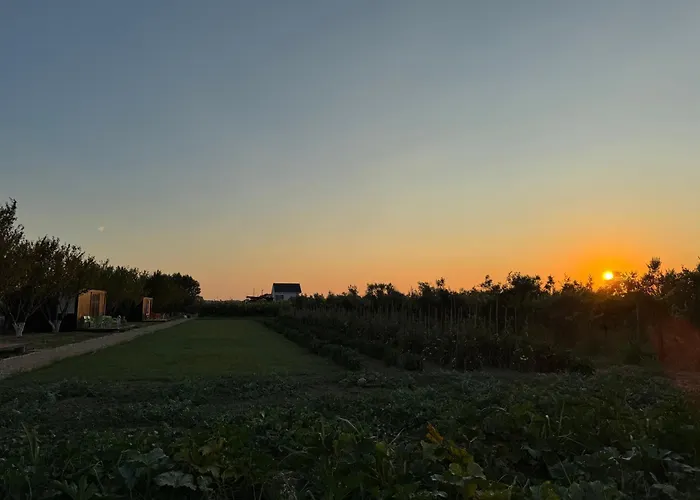 Te Vreshti - Container * Durres