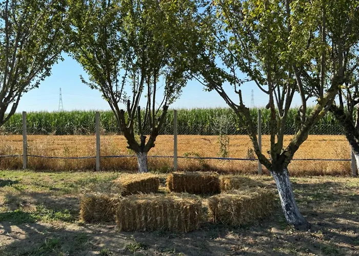 Te Vreshti - Container *