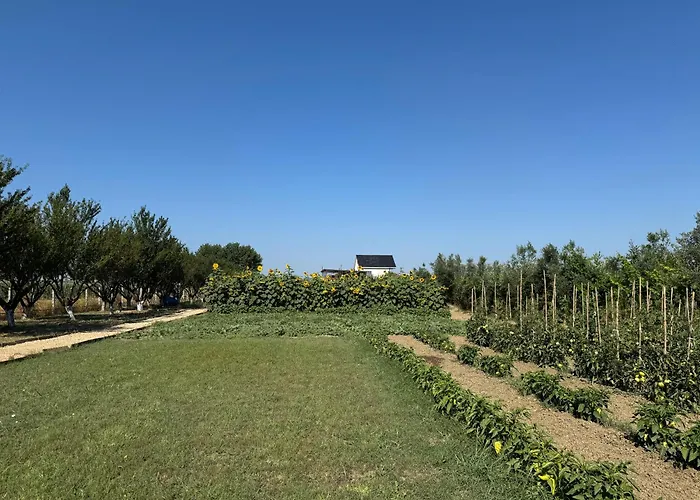 Te Vreshti - Container Durres