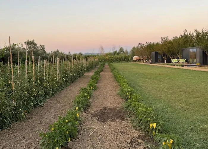 Holiday home Te Vreshti - Container Durres